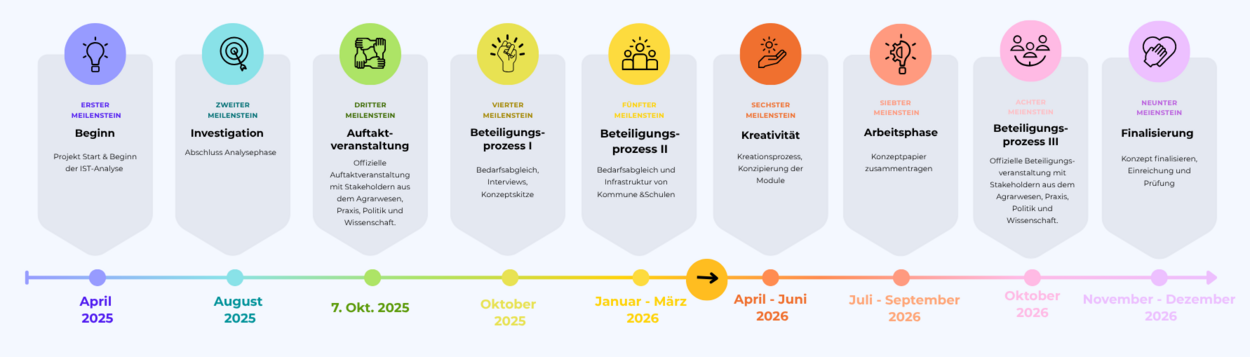 Projekt Timeline 